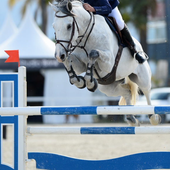 image Segunda semana del Tercer Tour del MET dedicado a Caballos Jóvenes