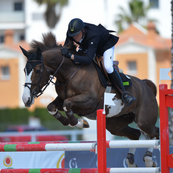 image Danaide du Houssoit con el belga Dominique Hendrikx mejor Caballo Joven