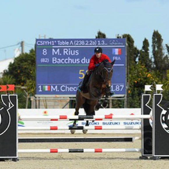 Ya_esta___en_marcha_el_Spring_MET_2017_con_las_pruebas_de_caballos_jo__venes En marcha el Spring MET 2017 con las pruebas de Caballos Jóvenes