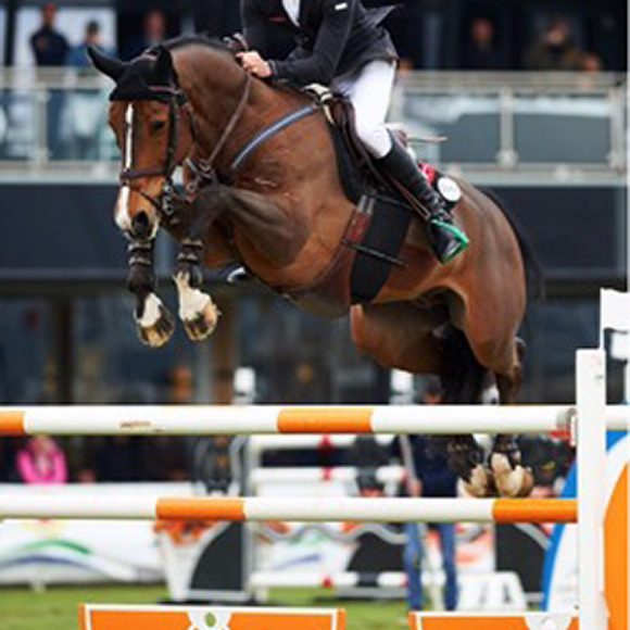 Victoria_para_Constant_van_Paesschen_en_el_Grand_Prix_del_Mediterranean_Equestrian_Tour Victoria para Constant Van Paesschen en el Grand Prix del MET