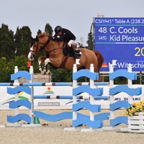caballos-jovenes-spring-met-2017-oliva Continúa la competición para los caballos jóvenes en el Spring MET