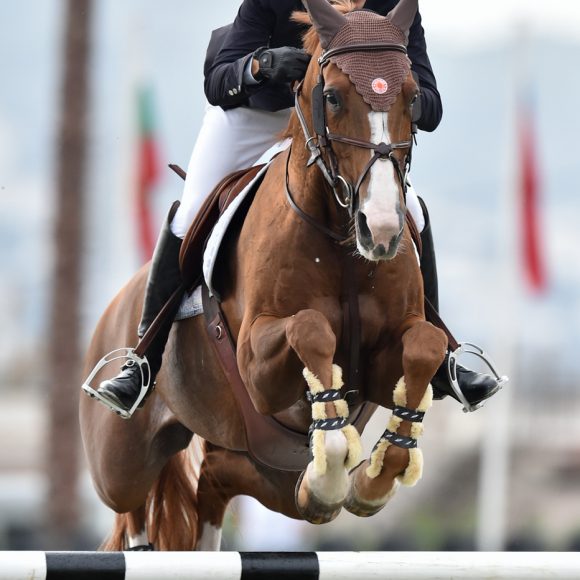 pedro_veniss_vencedor_grans_prix_csi2_chg_autumn_met_2018 Pedro Veniss saves the best for last in the CSI2* Grand Prix presented by CHG