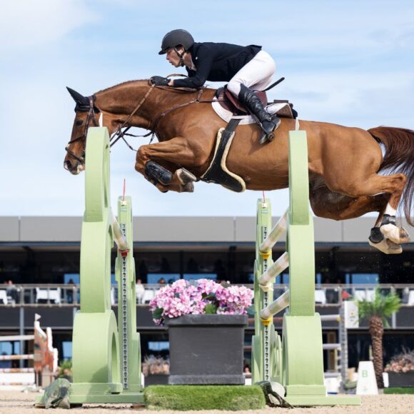 Seppe Wouters and Quito de Mariposa outshine their elders in the
CSI3* 1.50m CHG Grand Prix at Oliva Nova